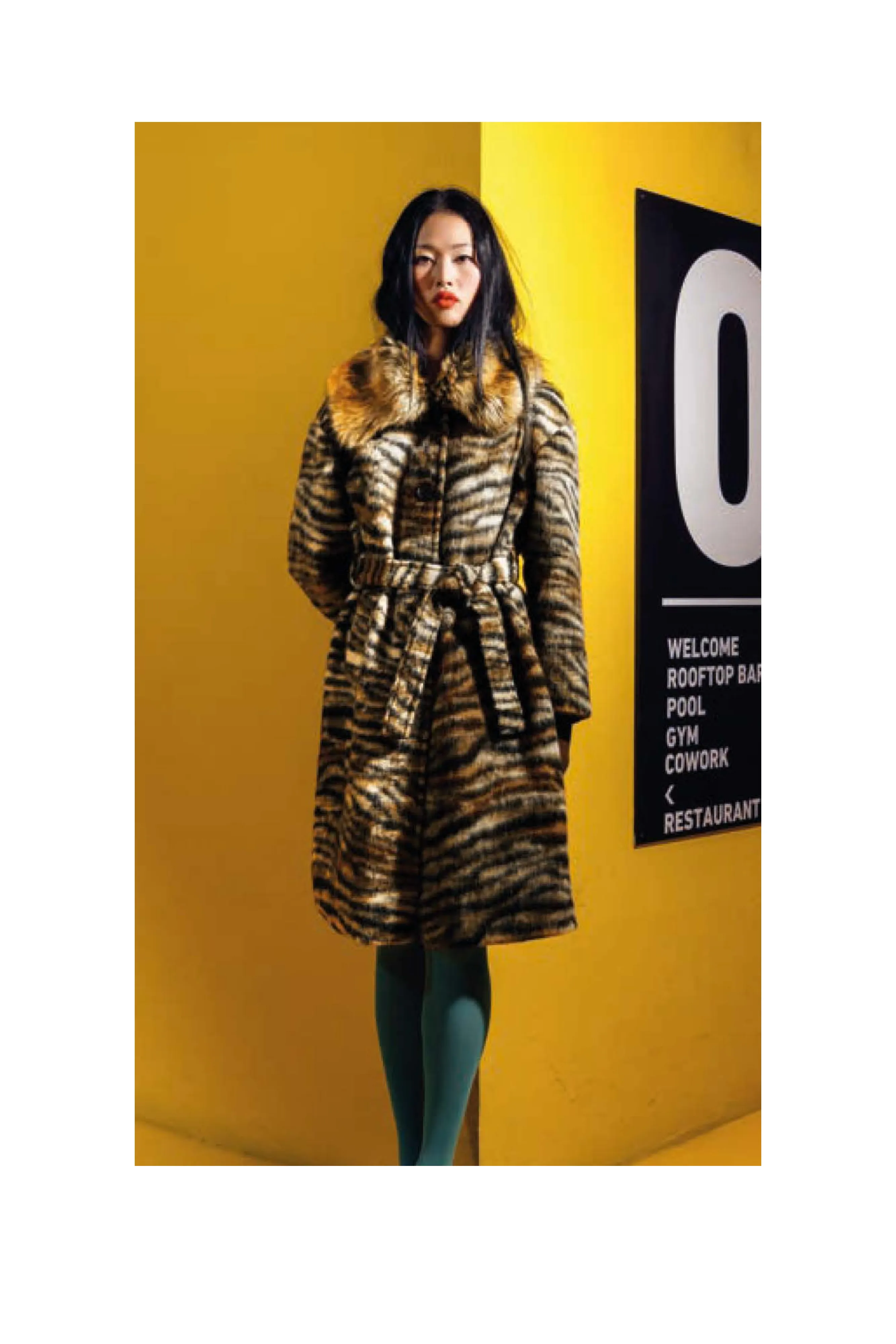 Animal Print Coat with Faux Fur Trim